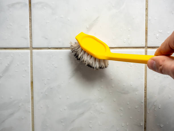 Best Residential Mold Remediation in Unadilla, GA