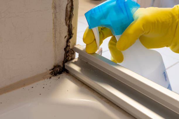 Best Mold Remediation for Specific Building Types in Unadilla, GA