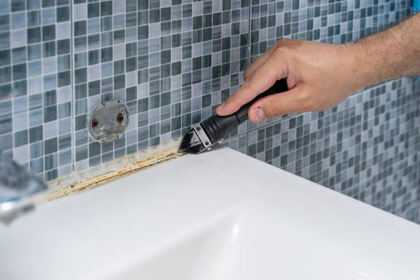 Best Commercial Mold Remediation in Unadilla, GA