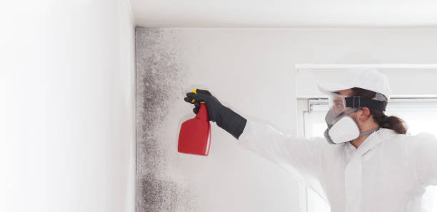 Best HVAC Mold Remediation in Unadilla, GA