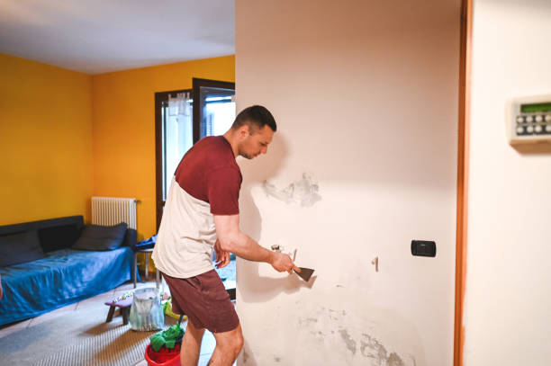 Trusted Unadilla, GA Mold Remediation Experts