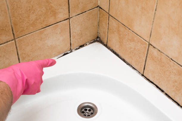 Best Preventive Mold Services in Unadilla, GA